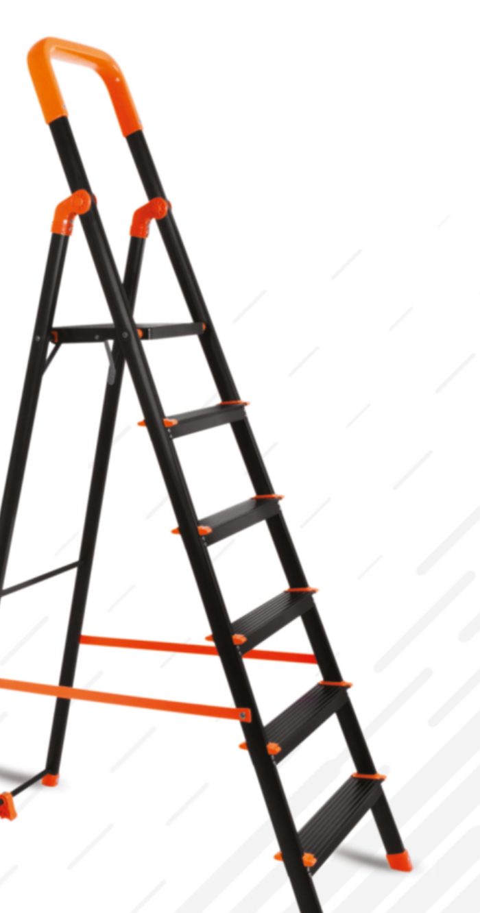 Mizu Ladder Magnum 10 Step Ladder